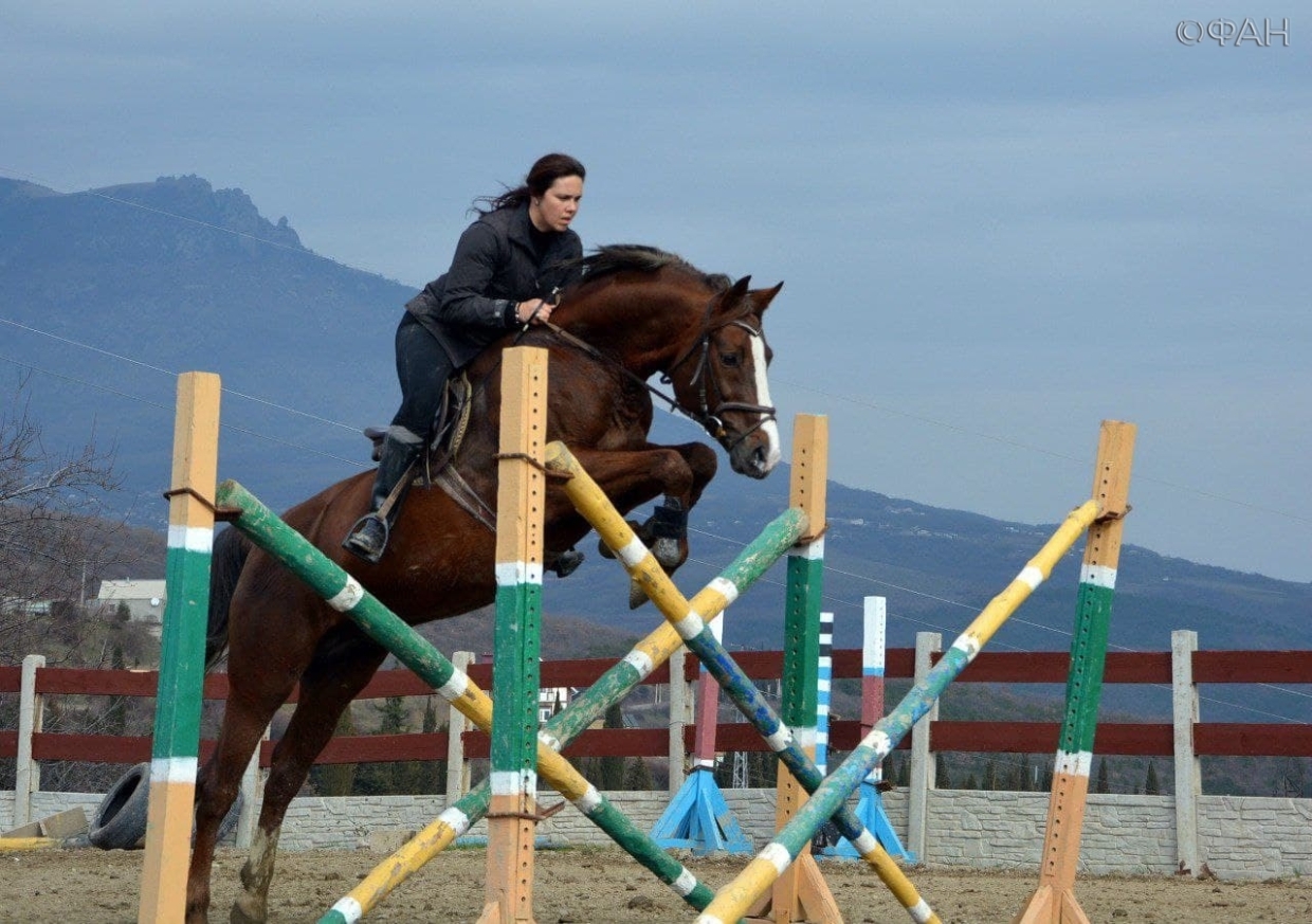 Чемпионы спортивных конных соревнований Крыма и России воспитываются в клубах Алушты