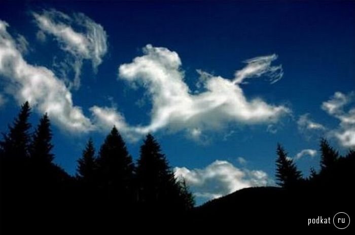 Облака - белогривые лошадки