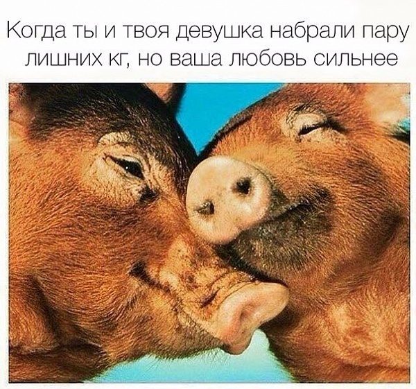 Отличные приколюшки
