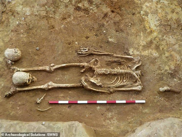 Загадка обезглавленных скелетов римской эпохи в Саффолке Англия, Скелет, Обезглавливание, Культ, Археологи, Археология, Длиннопост
