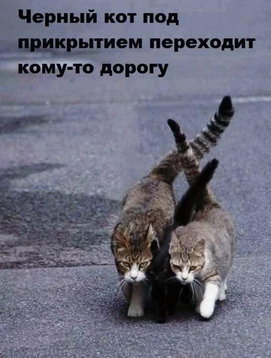 Свежий юмор для вас!