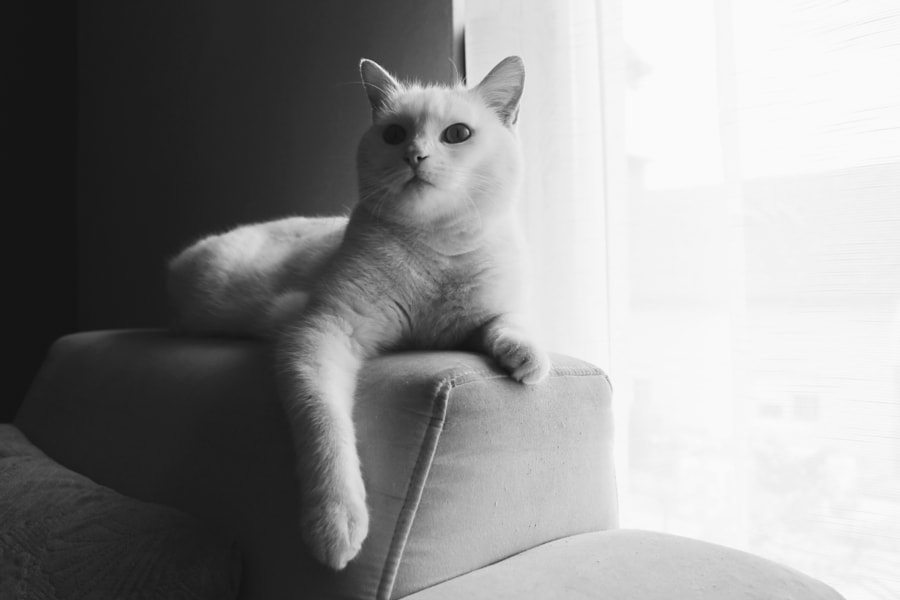 ... by Dragan Djuric on 500px.com