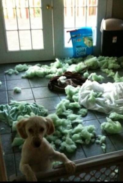 Подборка картинок. Дневной выпуск (53 фото)