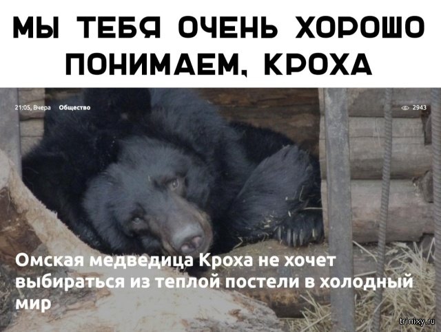 Подборка прикольных картинок  смешные картинки