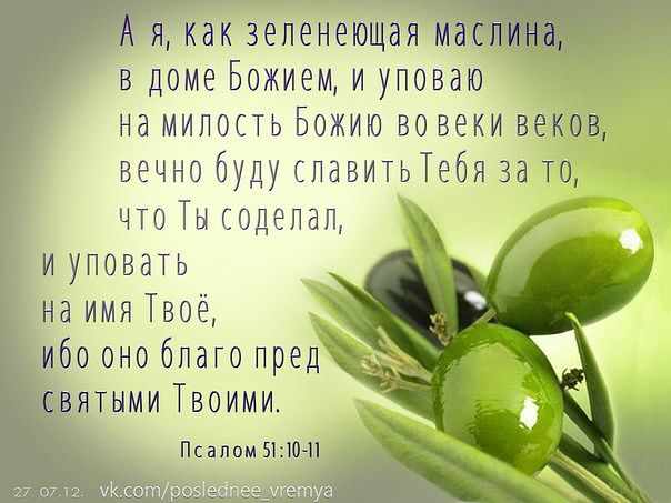 Благословение в картинках со смыслом, электронную
