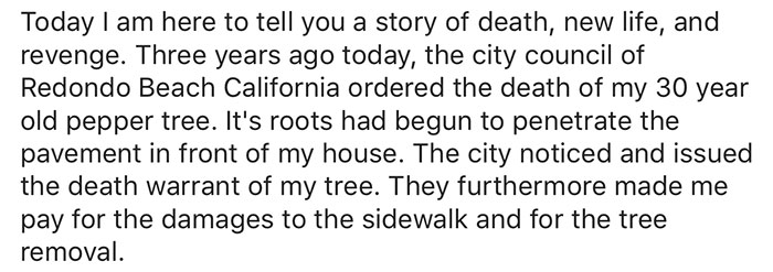 giant-sequoia-tree-mayor-revenge-story-3