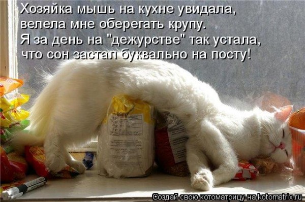 Мысли вслух :)