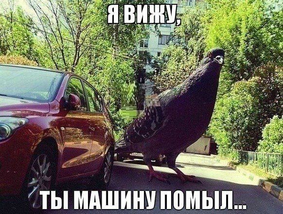 Улыбнуло Улыбнуло авто и мото,автоновости