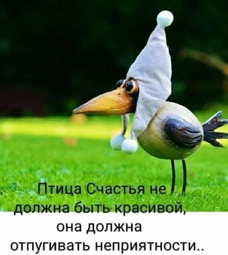 Ржачные фото приколы и картинки с надписями Ржачные фото приколы и картинки с надписями