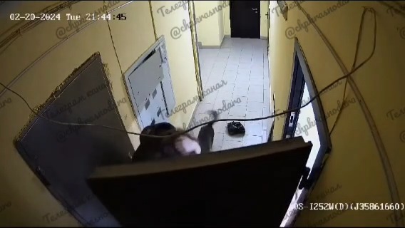 Страшно смотреть: в Краснодаре мужчина жестоко избил гражданскую жену и маленькую дочь, полиция, СК РФ, уголовное дело