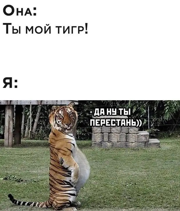 Идеальные отношения – это когда ты покупаешь ему зубную щетку, а он тебе – машину Идеальные отношения – это когда ты покупаешь ему зубную щетку, а он тебе – машину спрашивает, время, конечно, купишь, говорит, карасик, довольная, сыном, Буренка, попробовали, Ватсон, через, коров, сейчас, Скажите, банкир, когданибудь, куплю, называются, Голландию