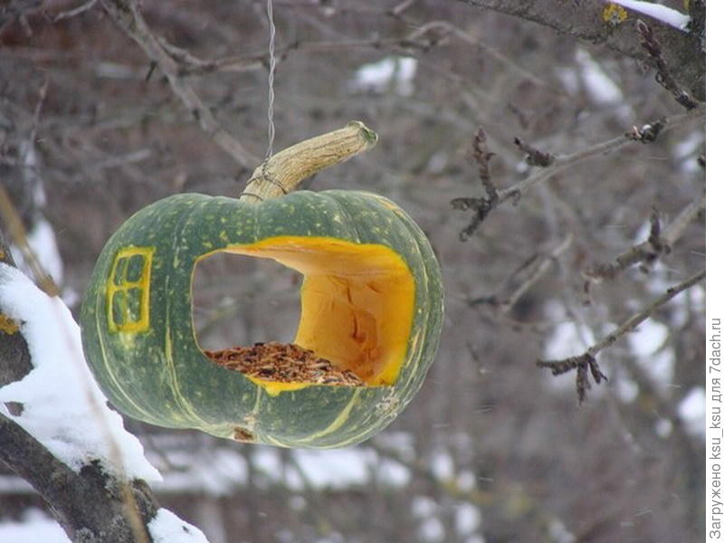 20 отличных идей птичьих кормушек вдохновляемся,для дома и дачи