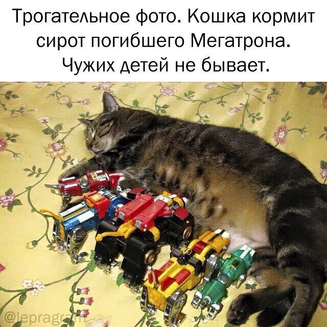 Прикольные мемы 