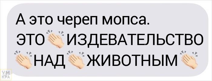 Парень хотел завести мопса, но его друг сравнил черепа собак, доказав, что это жестоко собак, проблемы, породы, собаки, время, также, здоровьем, чистокровного, мопса, нормальной, которые, мопсы, проблем, могут, чтобы, звуки, часто, много, этого, черепами