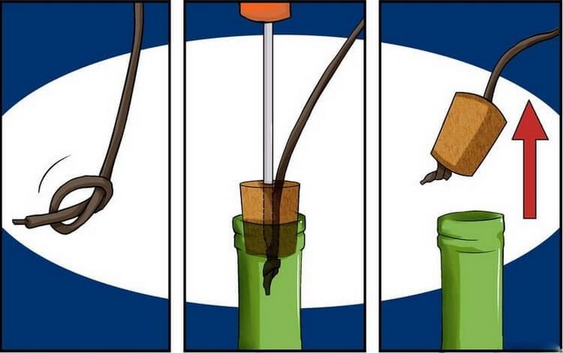 Как открыть вино без штопора, не разбив бутылку идеи для дома,полезные советы