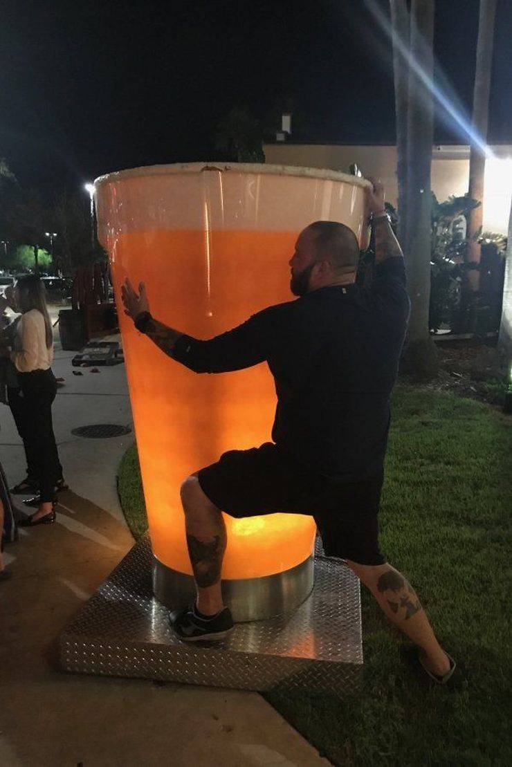 Забавные картинки для хорошего настроения Забавные картинки для хорошего настроения животные,жизнь,звери,земля,котики,коты,курьезы,мир,питомцы,планета,приколы,природа,смешное,собаки,факты,фауна,флора,щенки,юмор