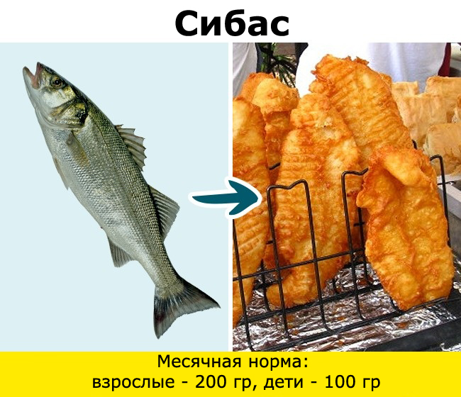 Рыба, сом, макрель, скумбрия, тунец, угорь, пангасиус, сибас, морской окунь, гемпилотоксин, масляная рыба, тайлфиш, гребнеголов, рыбалка, ртуть, нитрофуразон, Вьетнам, Меконг, 