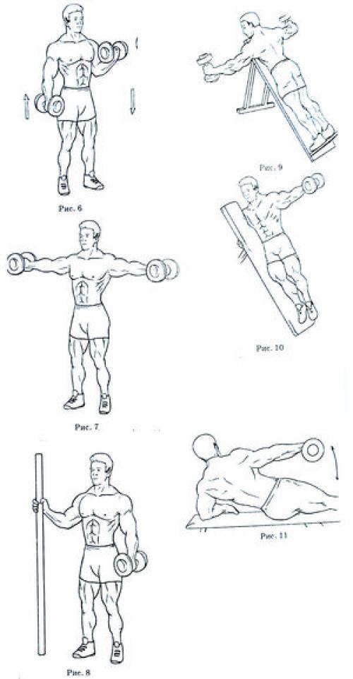 Комплекс упражнений на развитие верхнего плечевого пояса. Комплекс упражнений для развития мышц плечевого пояса