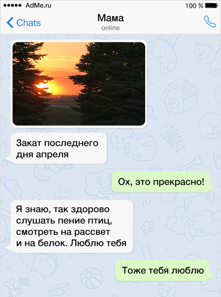 25 доказательств того, что папа и мама оканчивали совсем разные школы по воспитанию воспитание