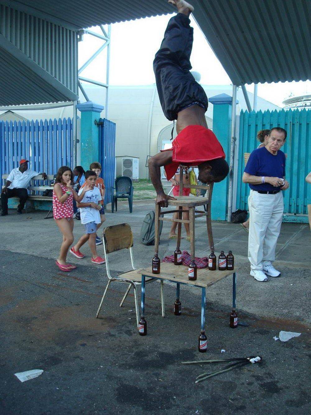 Забавные картинки для хорошего настроения Забавные картинки для хорошего настроения животные,жизнь,звери,земля,котики,коты,курьезы,мир,питомцы,планета,приколы,природа,смешное,собаки,факты,фауна,флора,щенки,юмор