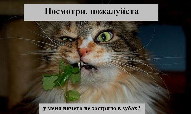 Мысли вслух :)