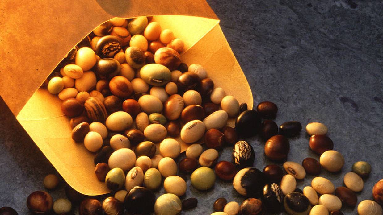 Sozcu: регулярное употребление бобовых способно победить три вида болезней