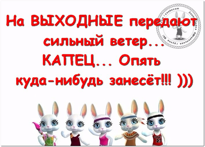 20 иронично-милых советов и фразочек в картинках, которые поднимут Вам настроение