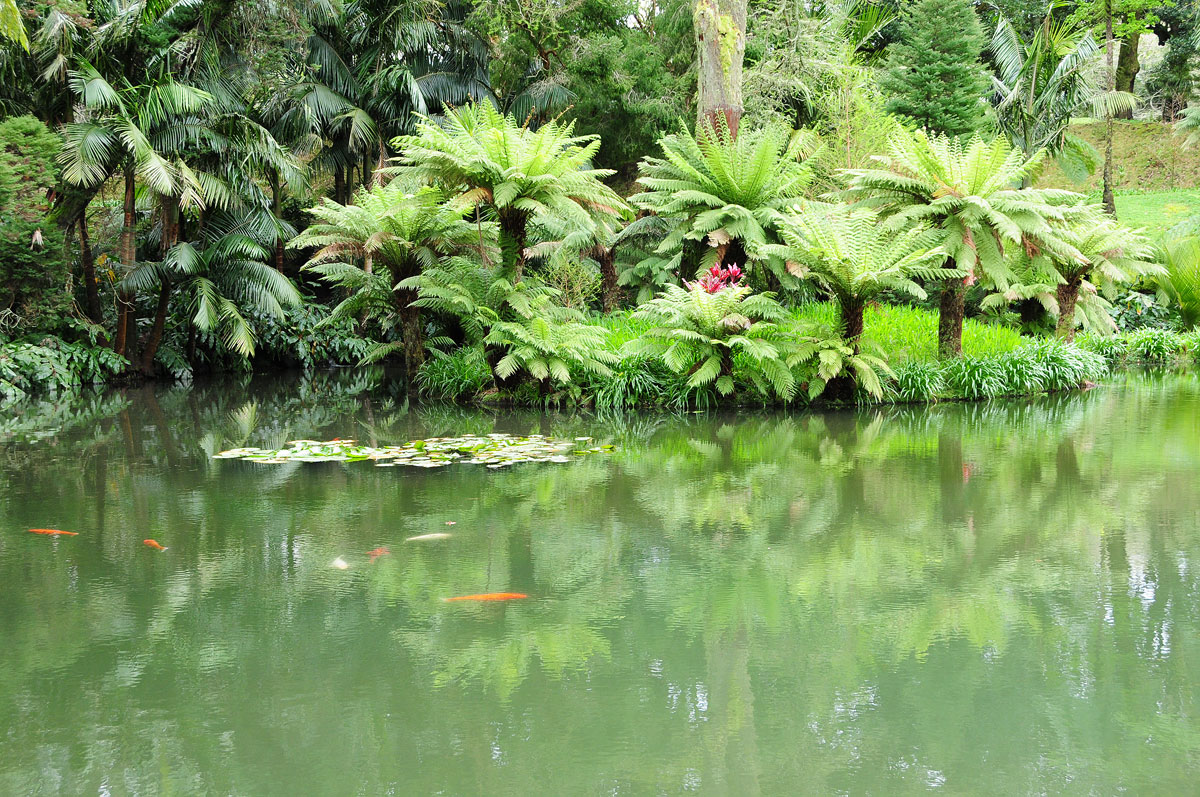 Вулканические чудеса Азорских островов Вулканические чудеса Азорских островов путешествия