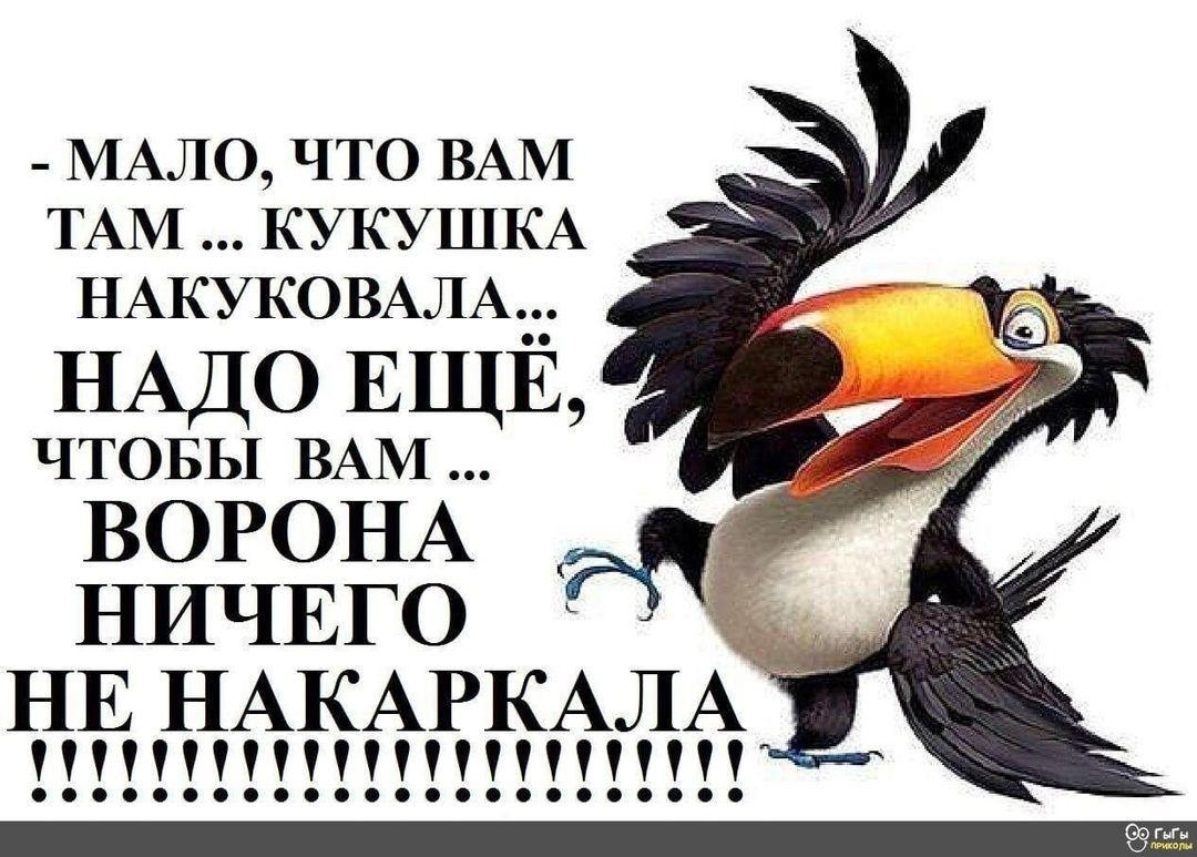 Заряжаемся позитивом с новой подборочкой веселостей! 