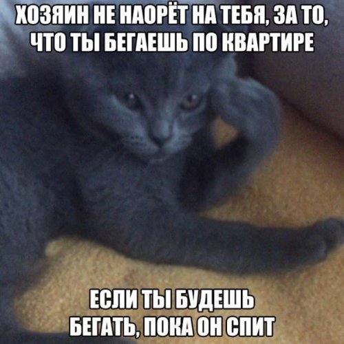 Прикольные и очень прикольные картинки (54 шт)