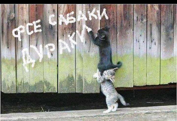 Юмор из интернета 663 анекдоты,позитив,смех,улыбки,юмор