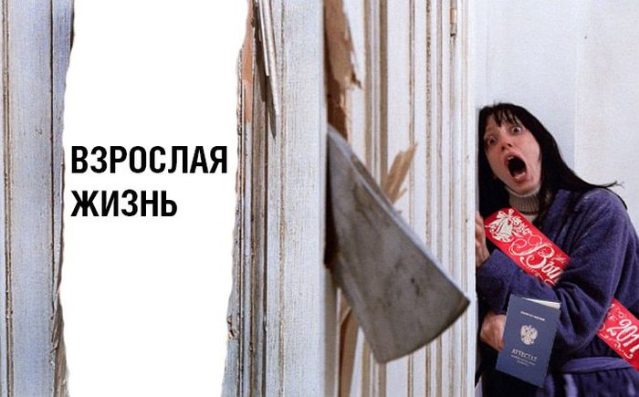 Подборка картинок. Вечерний выпуск (59 фото)