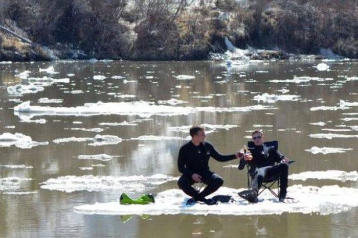 Прикольные картинки и фотографии из нашей жизни (11 фото)