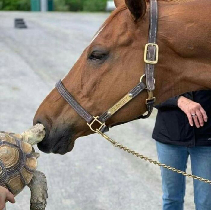 Что-то пошло не так.