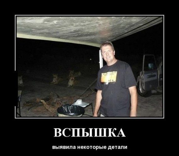Прикольные демотиваторы дня!
