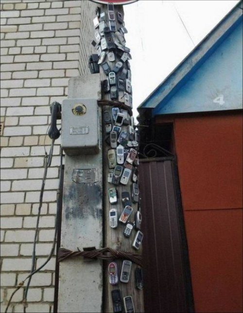Фотоприколы дня!