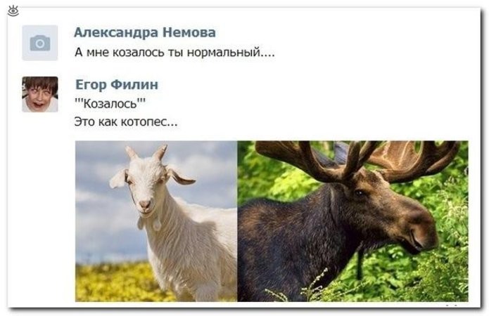 Смешные комментарии из социальных сетей соцсети, юмор