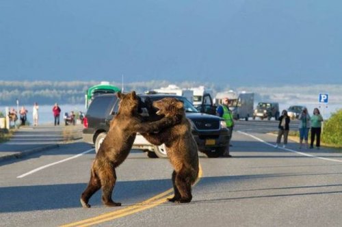 Прикольные и очень прикольные картинки (54 шт)