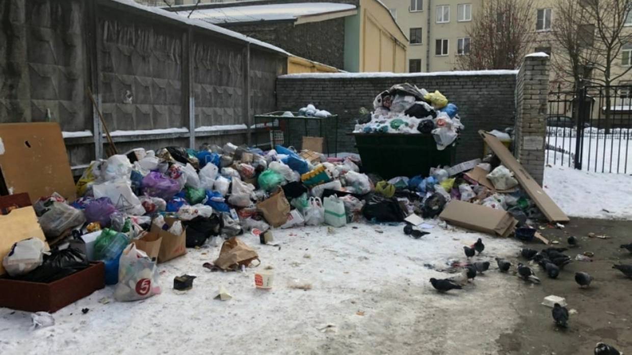 Напоминает средневековье: что не так с вывозом мусора в Санкт-Петербурге Общество