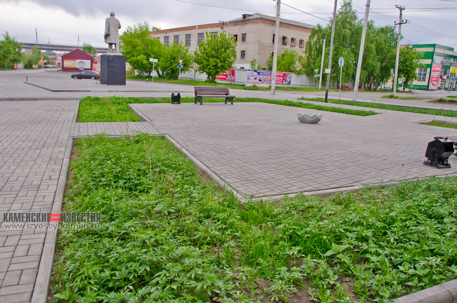 Комфортная среда: Центр алтайского города благоустроили клумбами с коноплей Алтай,благоустройство,конопля,общество,россияне,чиновники