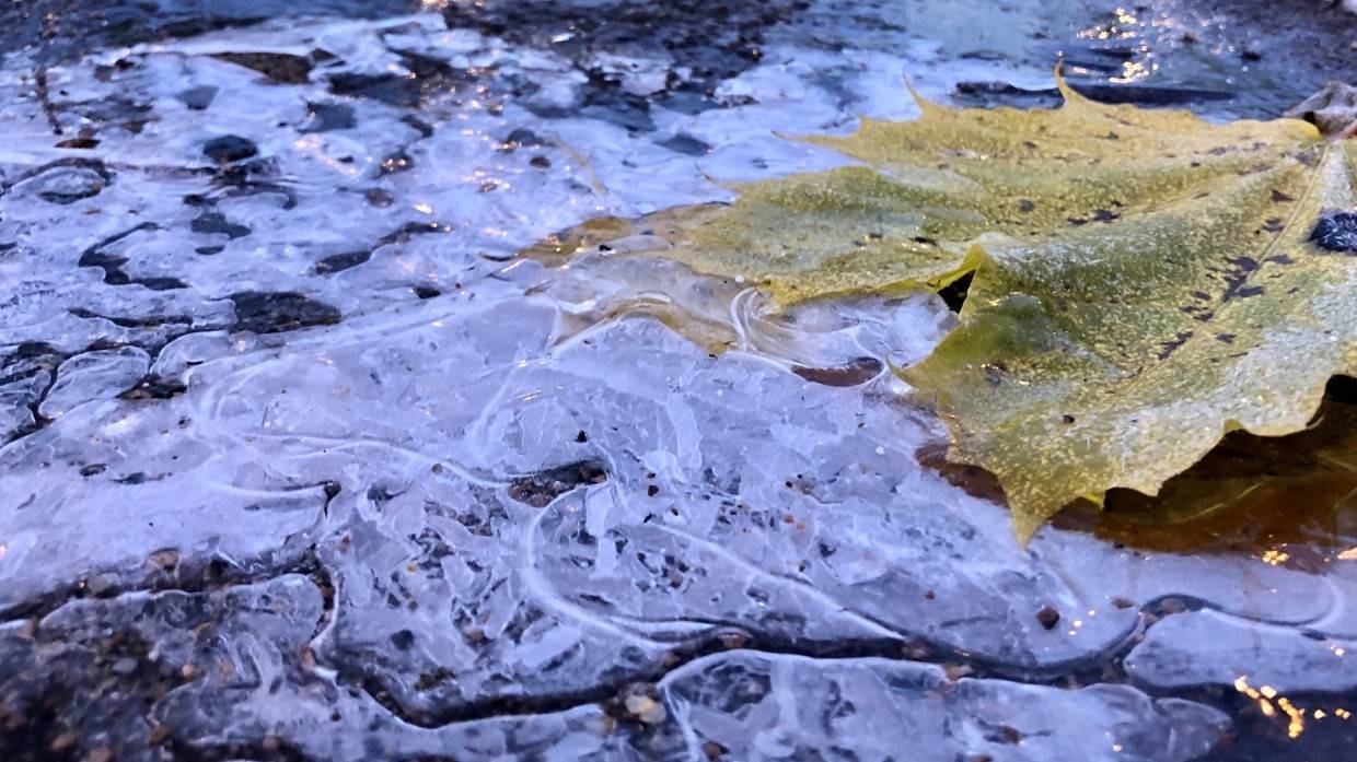 Главное управление МЧС предупредило петербуржцев о сильном ветре