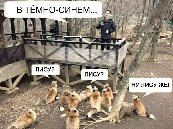 Те, кто хоть раз пил дешевые портвейны, знает, что на самом деле число дьявола — это 777 город Пенза г,о,[95246842],г,Пенза [1011123],Пензенская обл,[1011073]