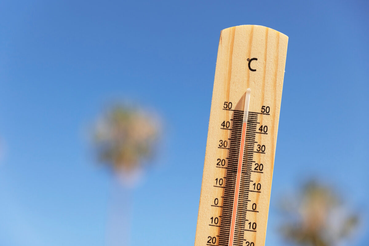 Во Владимирской области установится жара до +30 градусов
