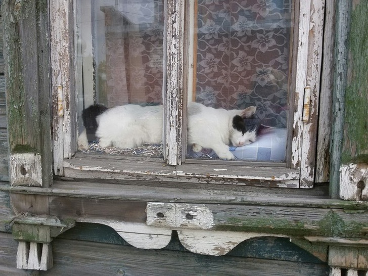 Какое было лето в деревне не всё так грустно