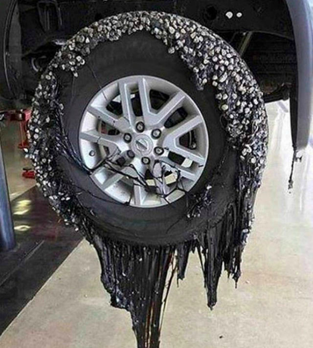 15+ ситуаций, в которые сложно поверить, если не бывал в Австралии заграница,страны,туризм