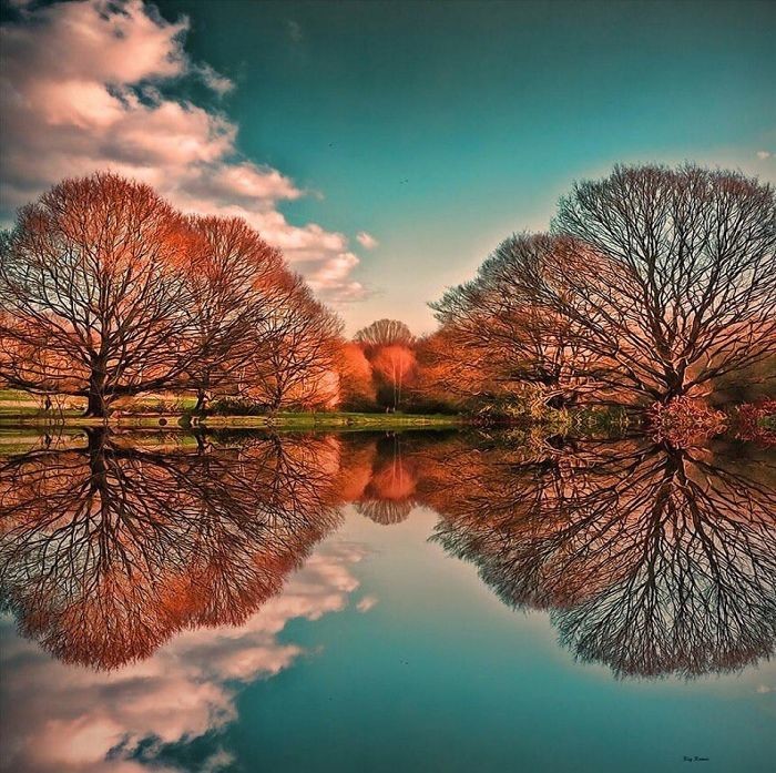 Гайд-парк осенью дважды прекрасен! обман зрения, оптические иллюзии, отражения