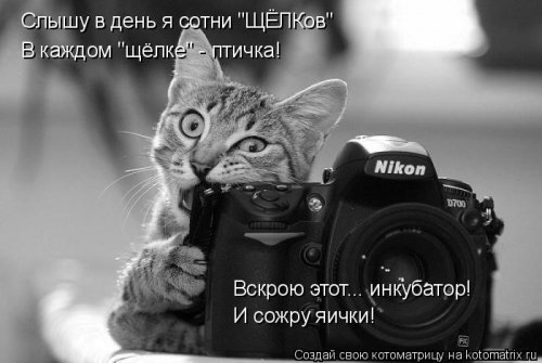 Котоматрица на Бугаге (28 фото)