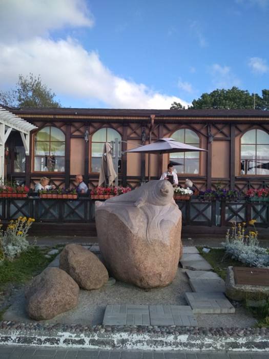 Мурлыкающий Зеленоградск: как старинный прусский городок превратился в столицу кошек Мурлыкающий Зеленоградск: как старинный прусский городок превратился в столицу кошек города,город котов,зеленоградск,путешествие,Россия