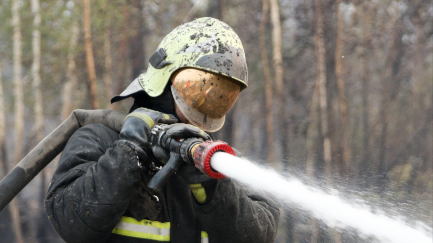Крым горит: в нескольких районах республики начались крупные природные пожары