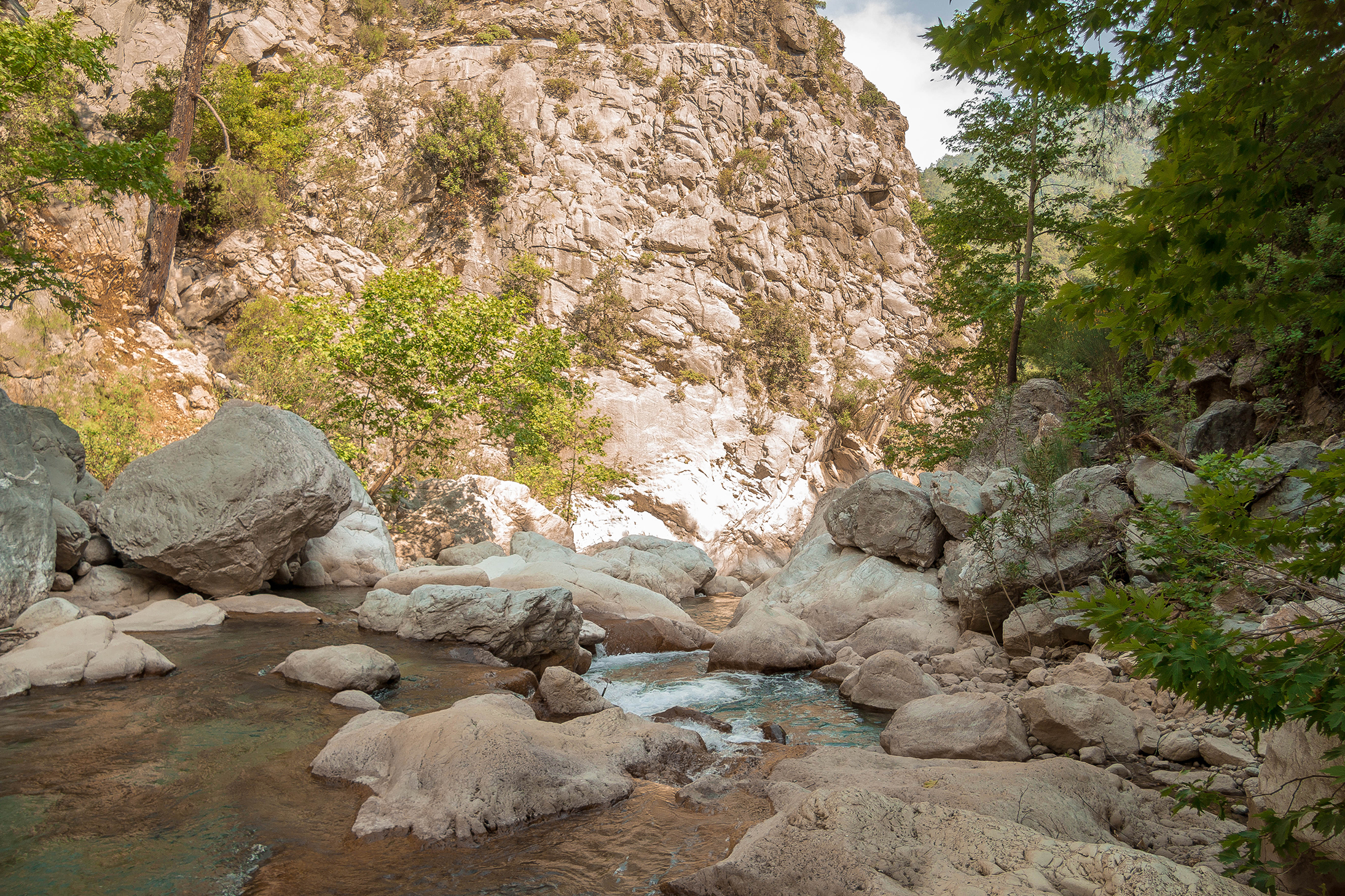 Каньон гейнюк фото